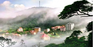 Với một ngày Tam Đảo - Thơ Nguyễn Phước Giang - Hội Nhà văn Hải Phòng